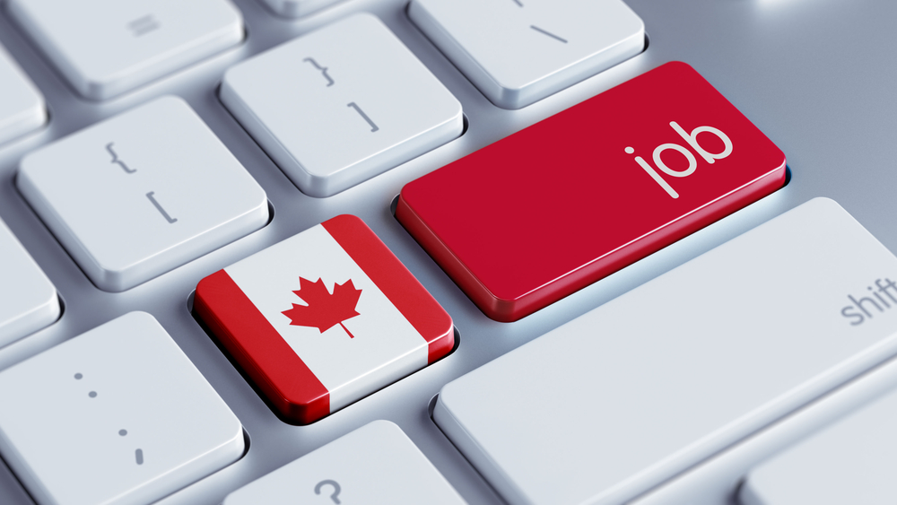 Canada Career Launch Program Your Gateway to Professional Success